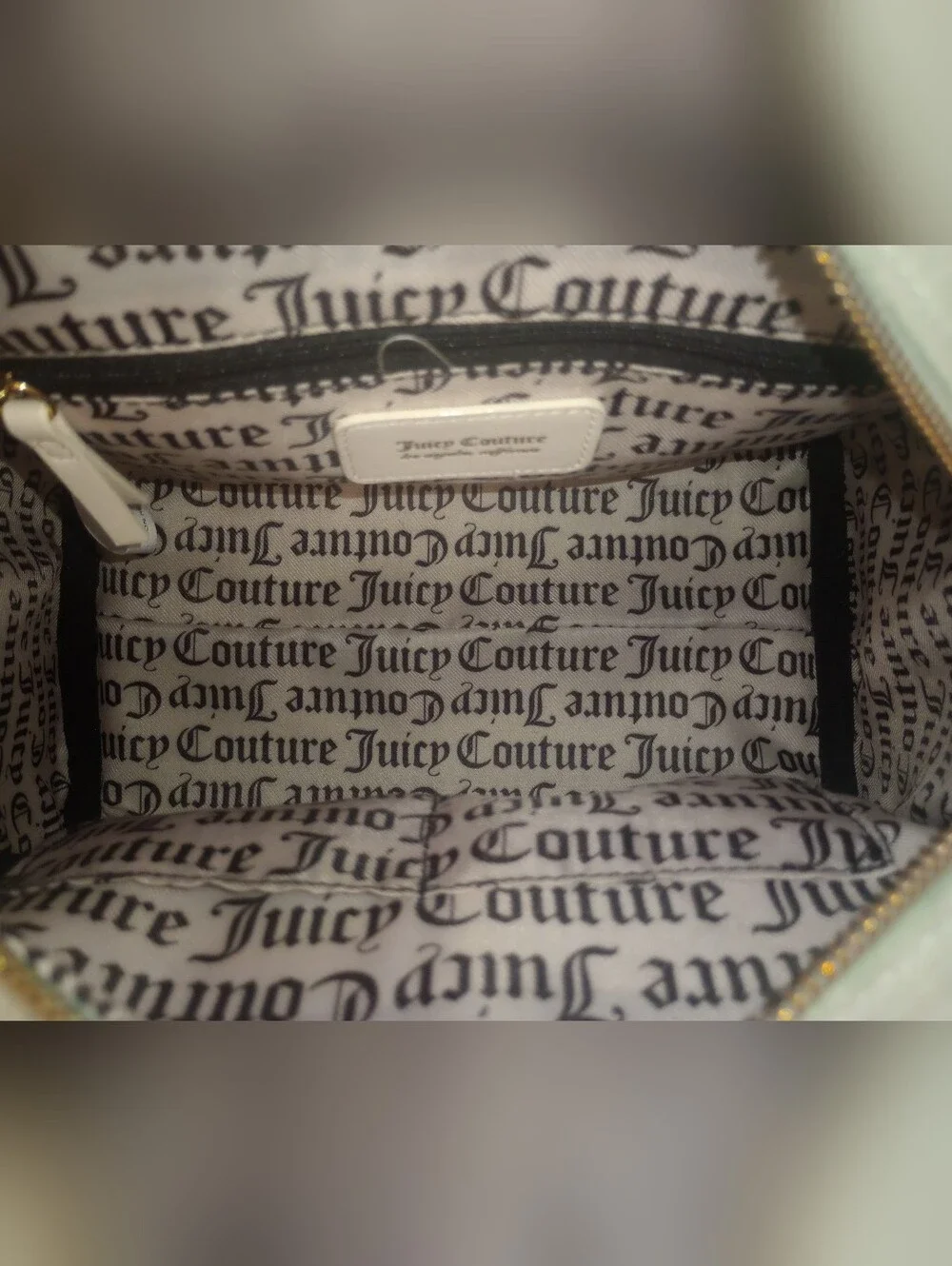 Juicy Couture Mint Green Velvet Satchel with White Handles